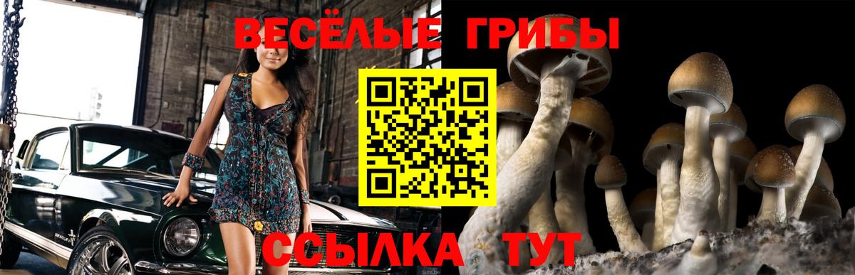 Галлюциногенные грибы Magic Shrooms Елизово