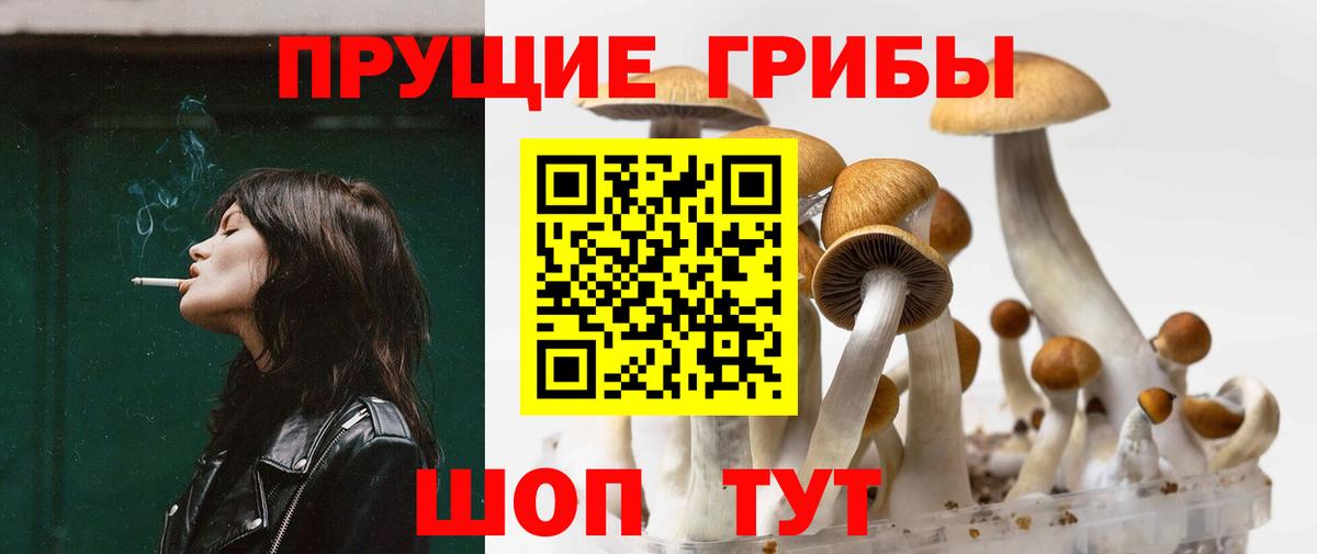 Елизово  Галлюциногенные грибы MAGIC MUSHROOMS  Галлюциногенные грибы мицелий  Вход с VPN 